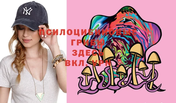 эйфоретик Мегион