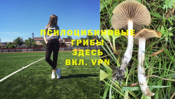 ALPHA-PVP Медногорск